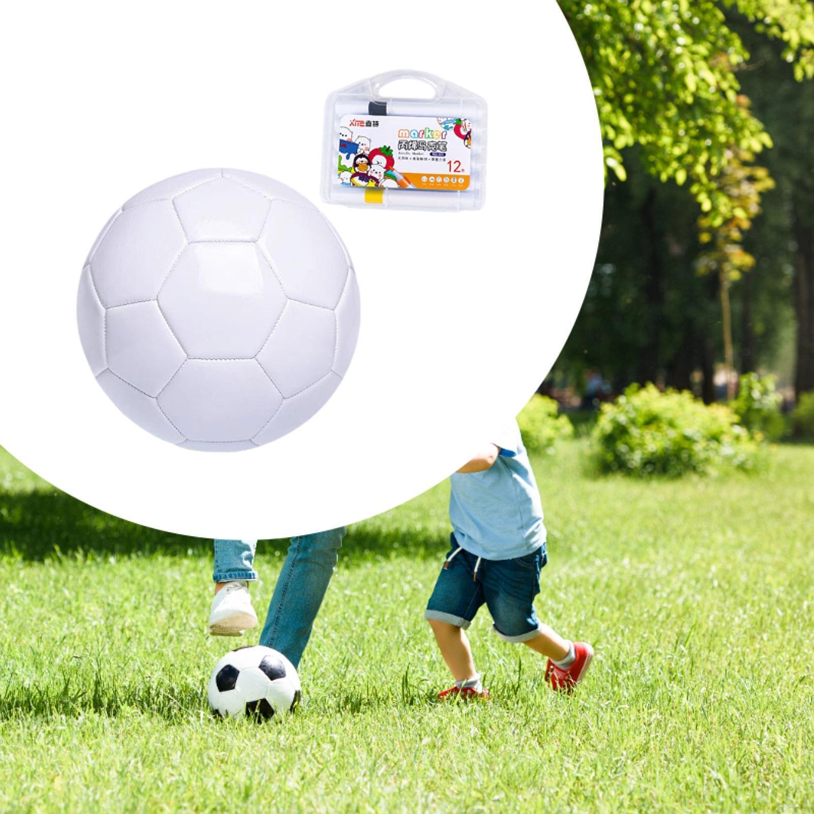 Soccer Ball Size 5 Official PV - Paint Model Kit recension och pris